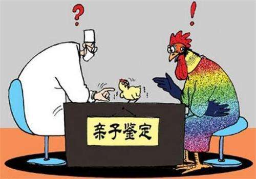 抚州做入户dna鉴定怎么做？点击申请优惠