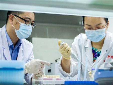 泉州东莞生态园落户东莞生态园亲子鉴定收费收赛合理透明