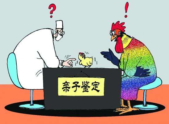 固原做隐私dna温州亲子鉴定程序是怎么样的？